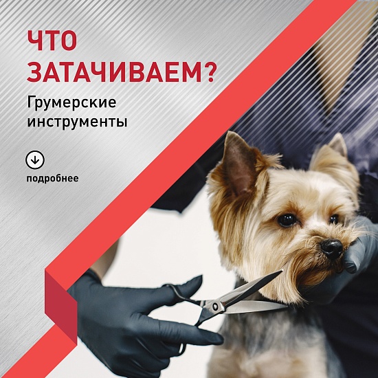 Что затачиваем: Грумерские инструменты